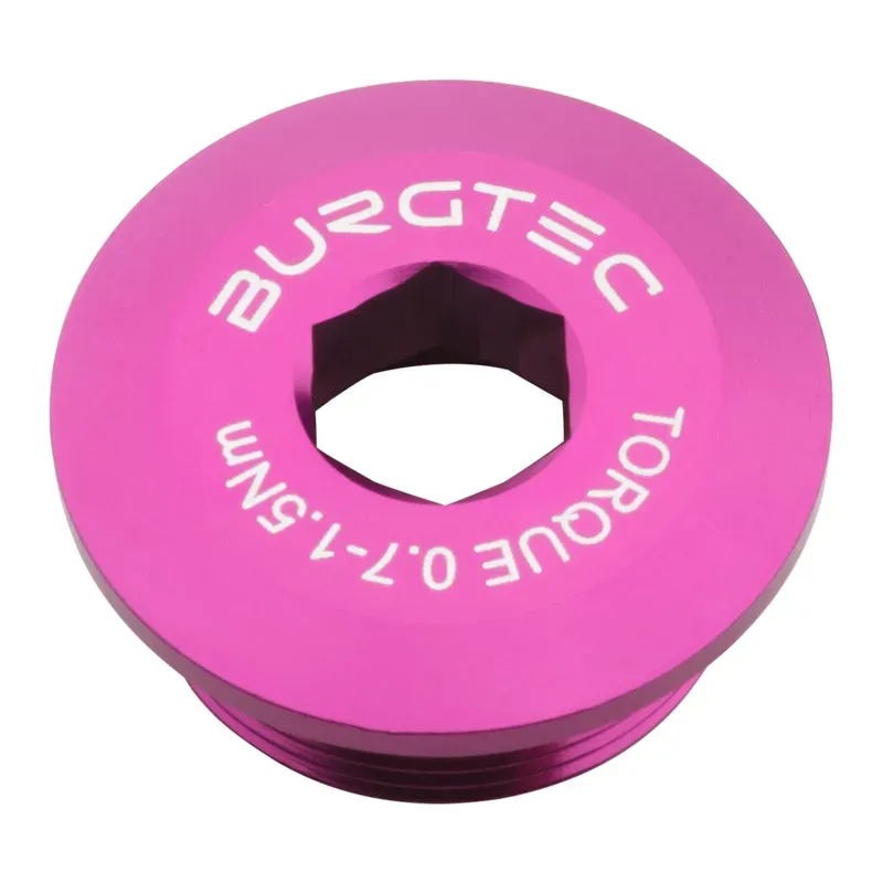 Burgtec Shimano Hollowtech II Crank Bolt in Purple Rain