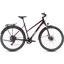 Cube Nature One Allroad Trapeze Hybrid Bike in Amarone/Lunar