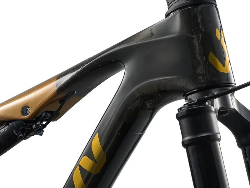 Liv Pique Advanced SL 0 Mountain Bike In Raw Carbon/Steampunk-4
