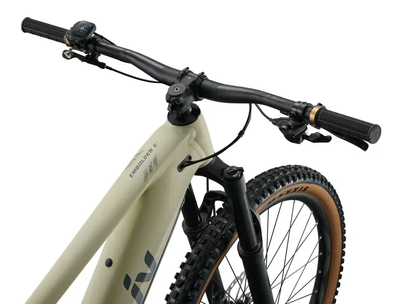 Liv Embolden E+ 1 eMountain Bike in Pale Moss-2