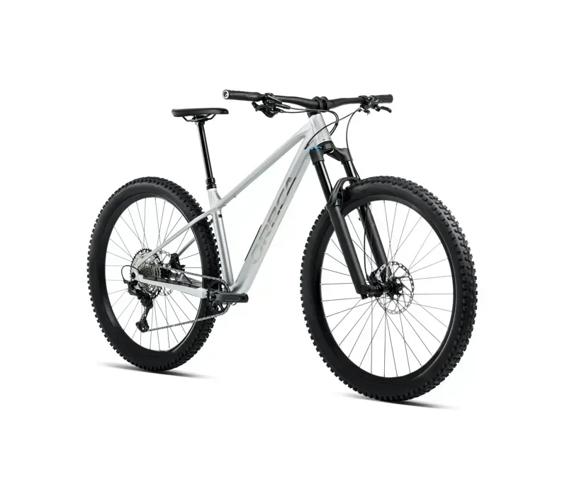 Orbea Laufey H30 Mountain Bike in Smooth Silver Mat/Titanium Gloss-1