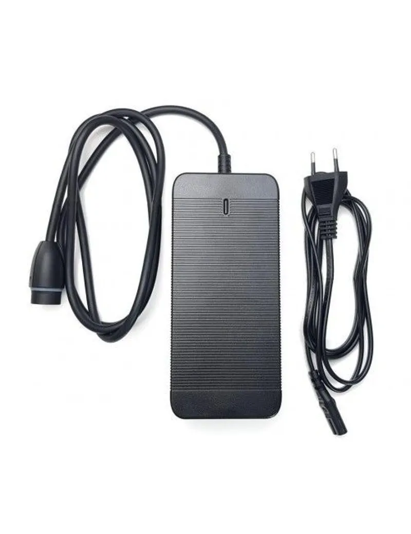 Yamaha Simplo Charger