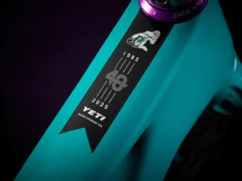 Yeti Cycles ASR Ultimate 29 Anniversary-4