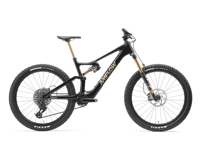 Amflow PL Carbon Pro Large 800wh Pre-Owned
