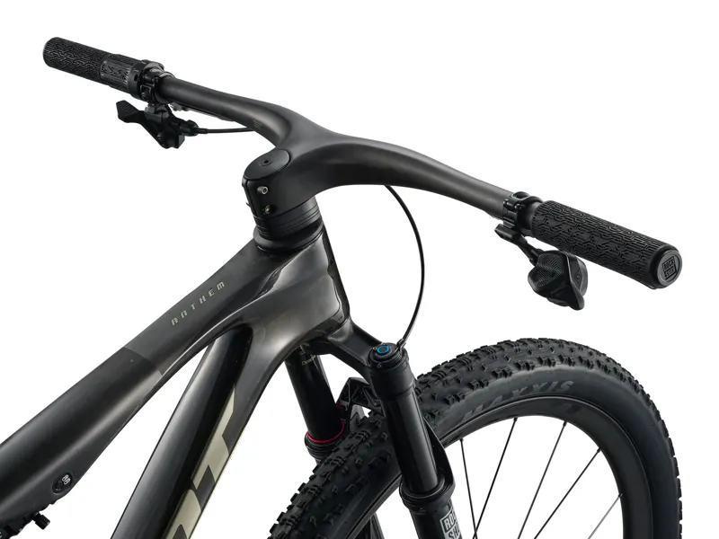 Giant Anthem Advanced SL 0 Raw Carbon-2