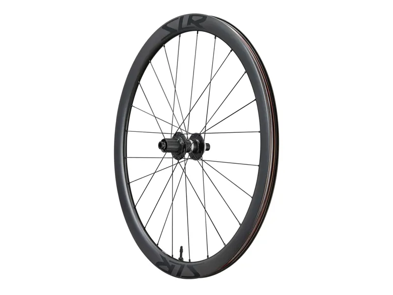Giant SLR 2 40 Disc Brake Rear Wheel-1