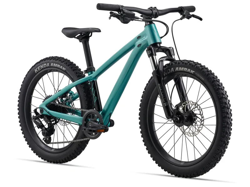 STP 20 FS-Giant One Size Teal-6