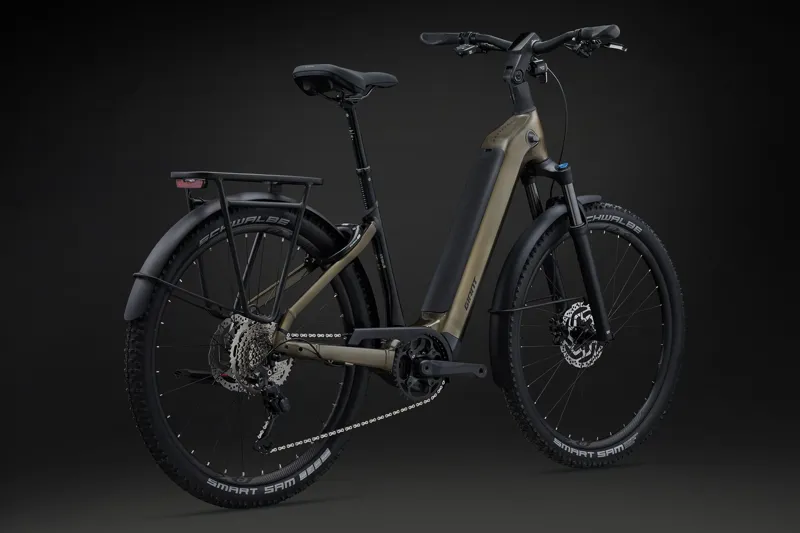 AnyTour X E+ 3 25km/H Pyrite Brown-3